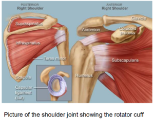 What is a rotator cuff tear?  Best orthopedic surgeon in Bangalore